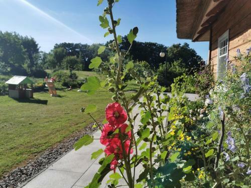 Villa Warmia House