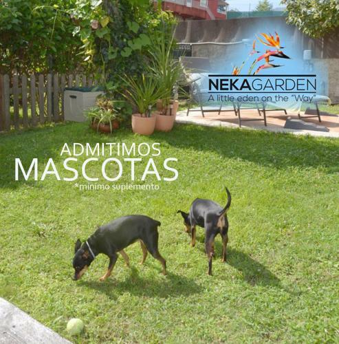 Casita Nekagarden