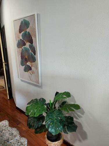 Apartamento Estancia Acogedora En Vigo