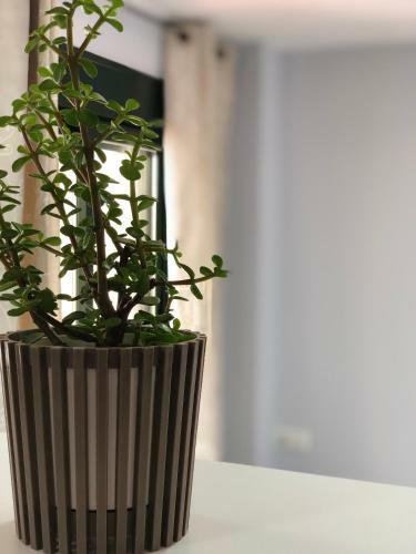 Apartamento Studio Tur�stico City Areal