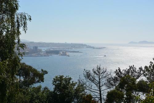 Apartamento Piso Unico En Vigo