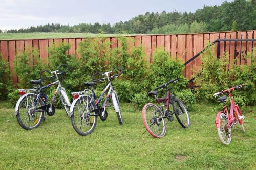 Go?ciniec Wierzbowianka