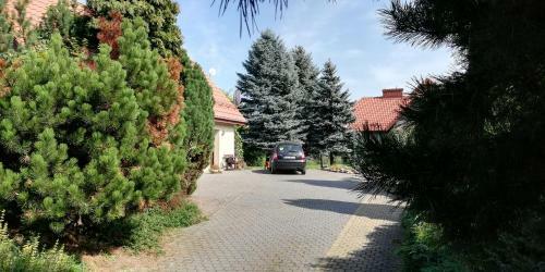 Apartament U Maryli
