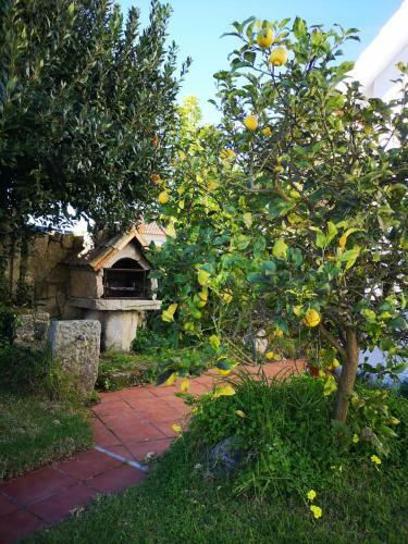Apartamento Carrerahouses Casta�al
