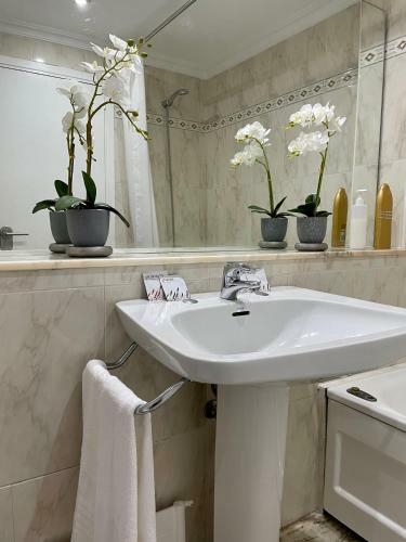 Apartamento Carrerahouses Bahia