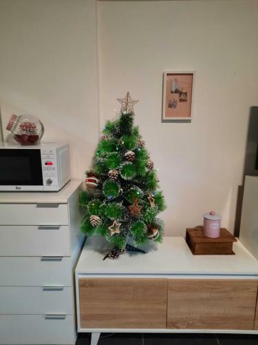 Apartamento Estudio Vialia