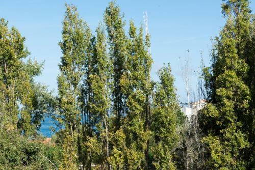 Villa Apartamento El Casta�al