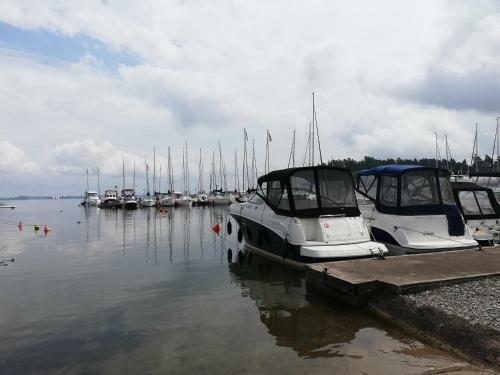 Nautiner 40.3
