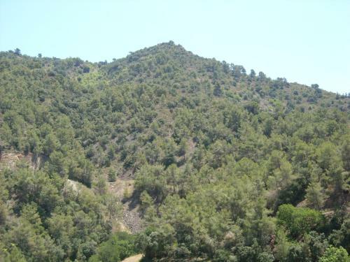Casa Rosi. Cumbres Borrascosas Bra�uelas