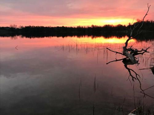 Lodge Agroturystyka Na Skarpie