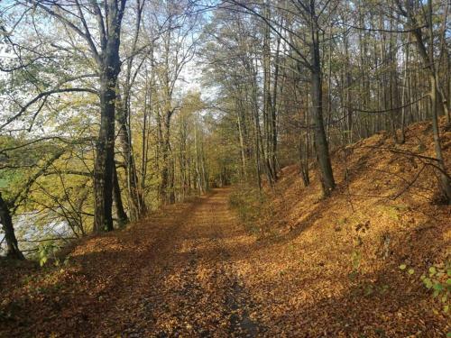 Agroturismo Dom Nad Bobrem Agatowe Kamyki