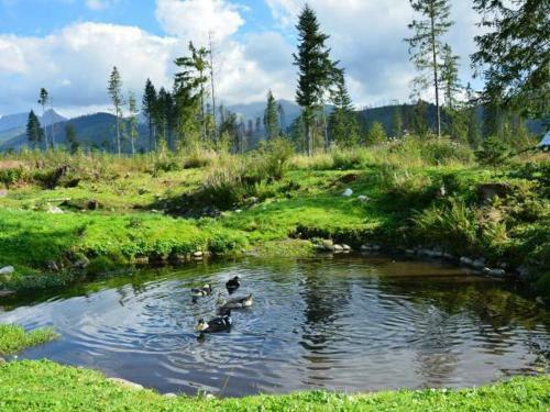 Apartamento G�ralska Chata Przy Dolinie Chocho?owskiej