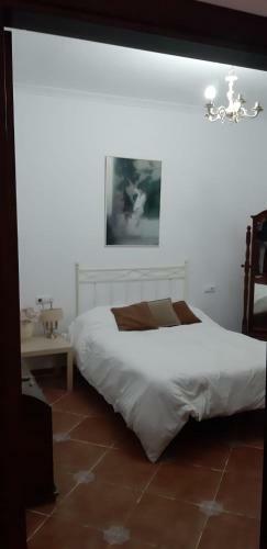 Retamilla