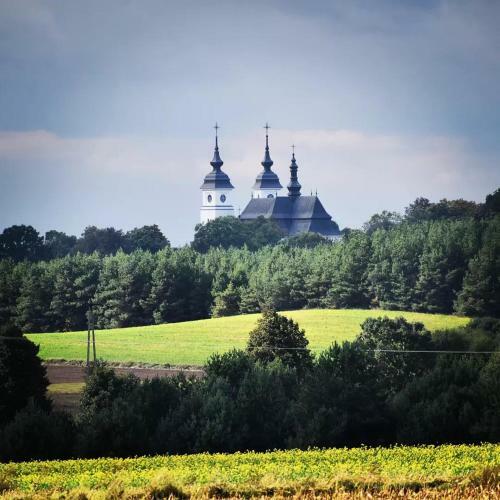 Villa Willa Bobrowa Dolina
