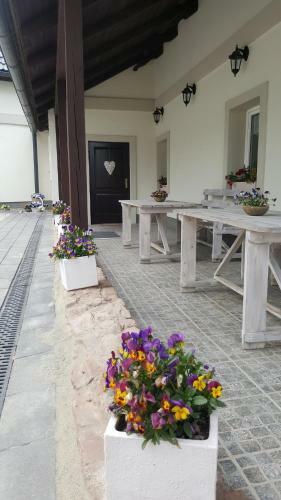 Bed & Breakfast Dom Pod Lawendowym Polem