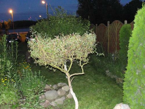 Apartament Wolin Nad Wod? Ko?o Miedzyzdroj�w