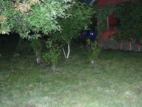 Apartament Wolin Nad Wod? Ko?o Miedzyzdroj�w