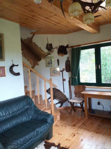 Villa Wietrzna Wie?a
