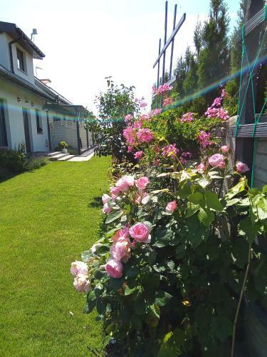 Apartamenty Lawenda
