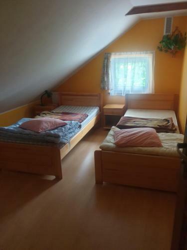 Agroturystyka Nad Stawem Dom W Borach Tucholskich