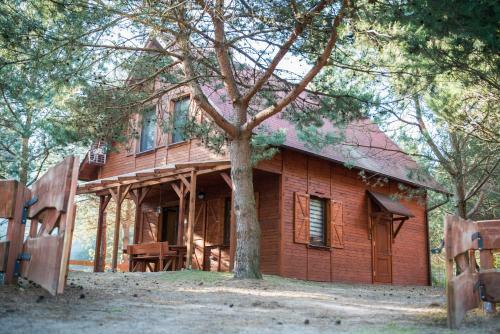 Lodge Domki W Borach