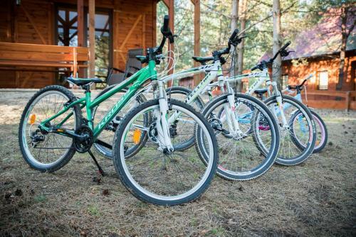 Lodge Domki W Borach
