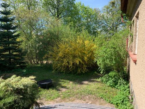 Forest View Villa