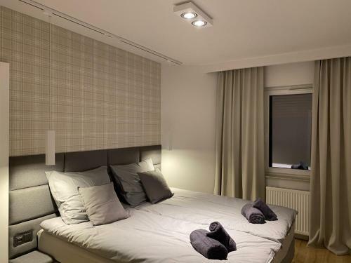 Apartament Opieszyn
