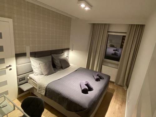 Apartament Opieszyn