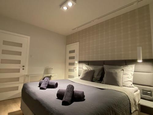 Apartament Opieszyn