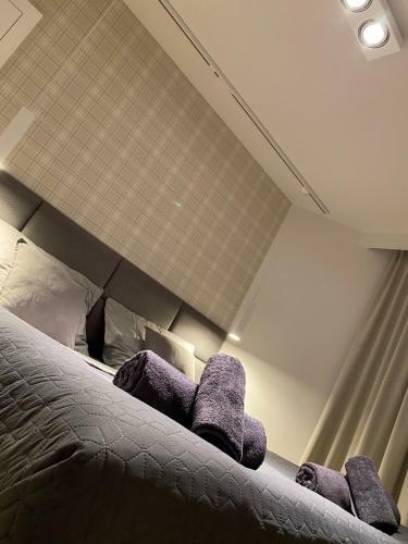 Apartament Opieszyn