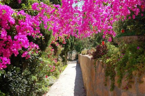 Apartamento Montiboli Beachfront Holidays