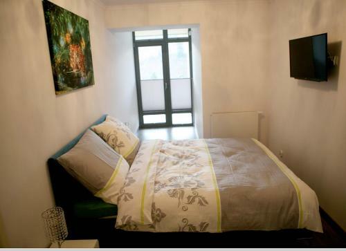 T?czowe Wzg�rze Apartament Oaza
