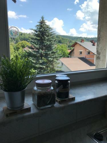 Apartament Przy Rynku