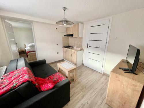 Apartamento Willa Ma?a Beskidzka