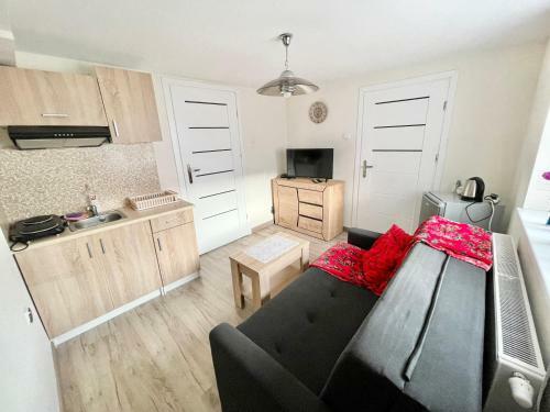 Apartamento Willa Ma?a Beskidzka