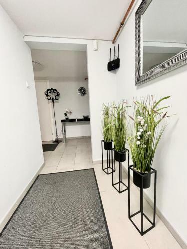Apartamento Willa Ma?a Beskidzka