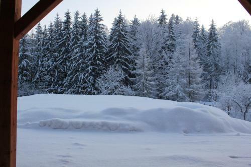 Bed & Breakfast Hillton Jawornik