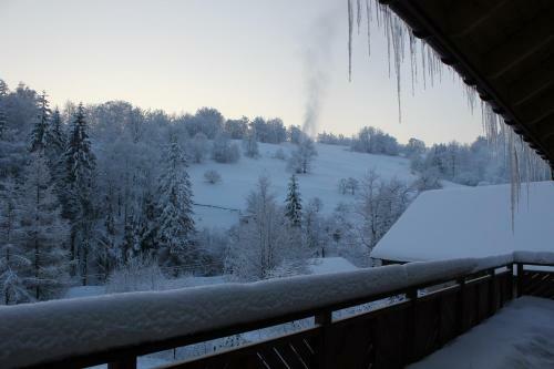 Bed & Breakfast Hillton Jawornik