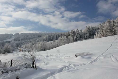 Bed & Breakfast Hillton Jawornik