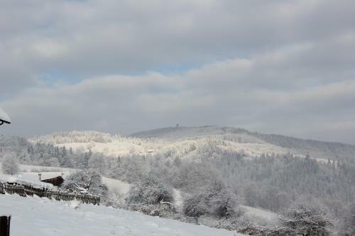 Bed & Breakfast Hillton Jawornik