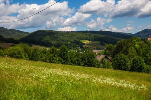 Bed & Breakfast Hillton Jawornik