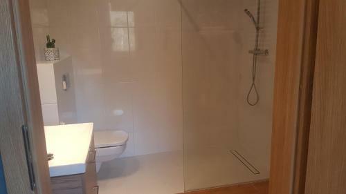 Mj Apartament Kamienna Wis?a