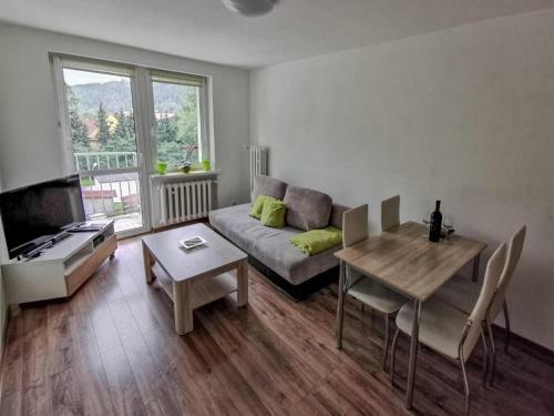 Apartament Wis?a Centrum