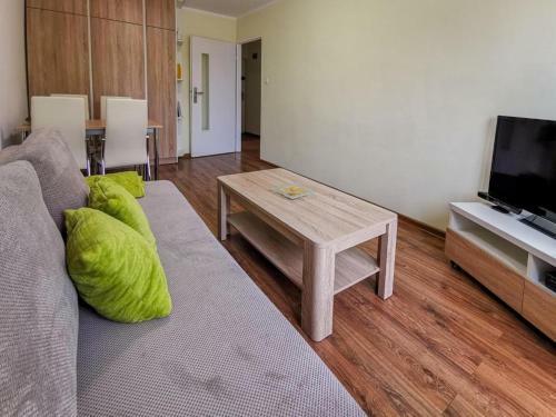 Apartament Wis?a Centrum