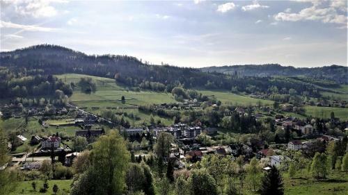 Apartament Wis?a Spokojna