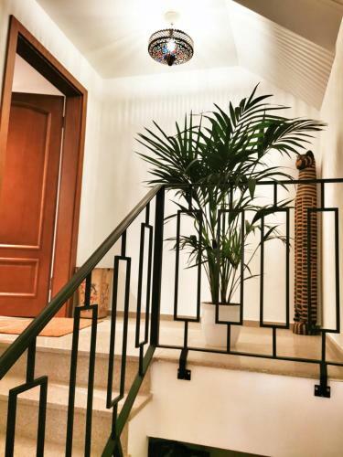 Nowoczesny Apartament W Centrum Wis?y
