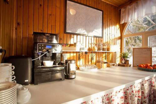 Bed & Breakfast Willa Jod?a Wis?a