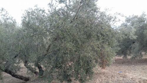 Alojamiento Rural Lu�s Y Mar�a