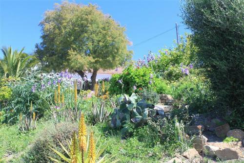 Villa Cerro Brae
